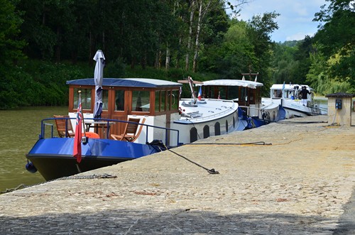 Vianne, une bastide sur la Baïse, Vianne - photo 3