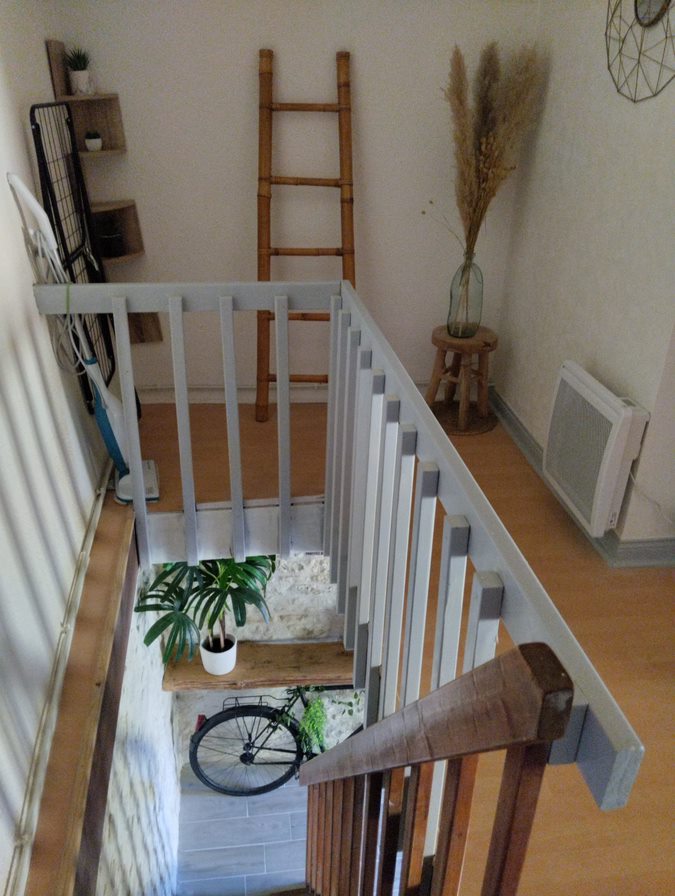 Le Petit Nid du Marais, Le Vanneau-Irleau - photo 6