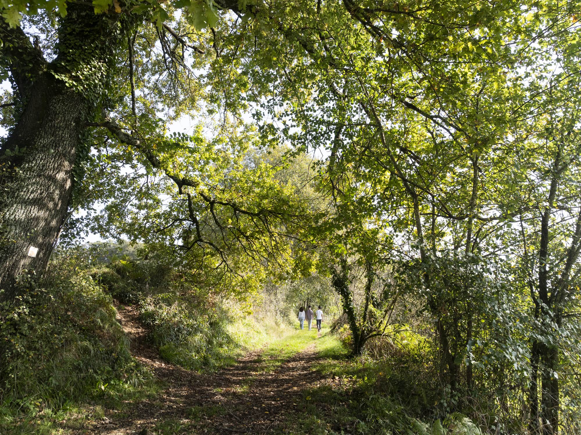 Tèrra Aventura : Géometrix à Audrix