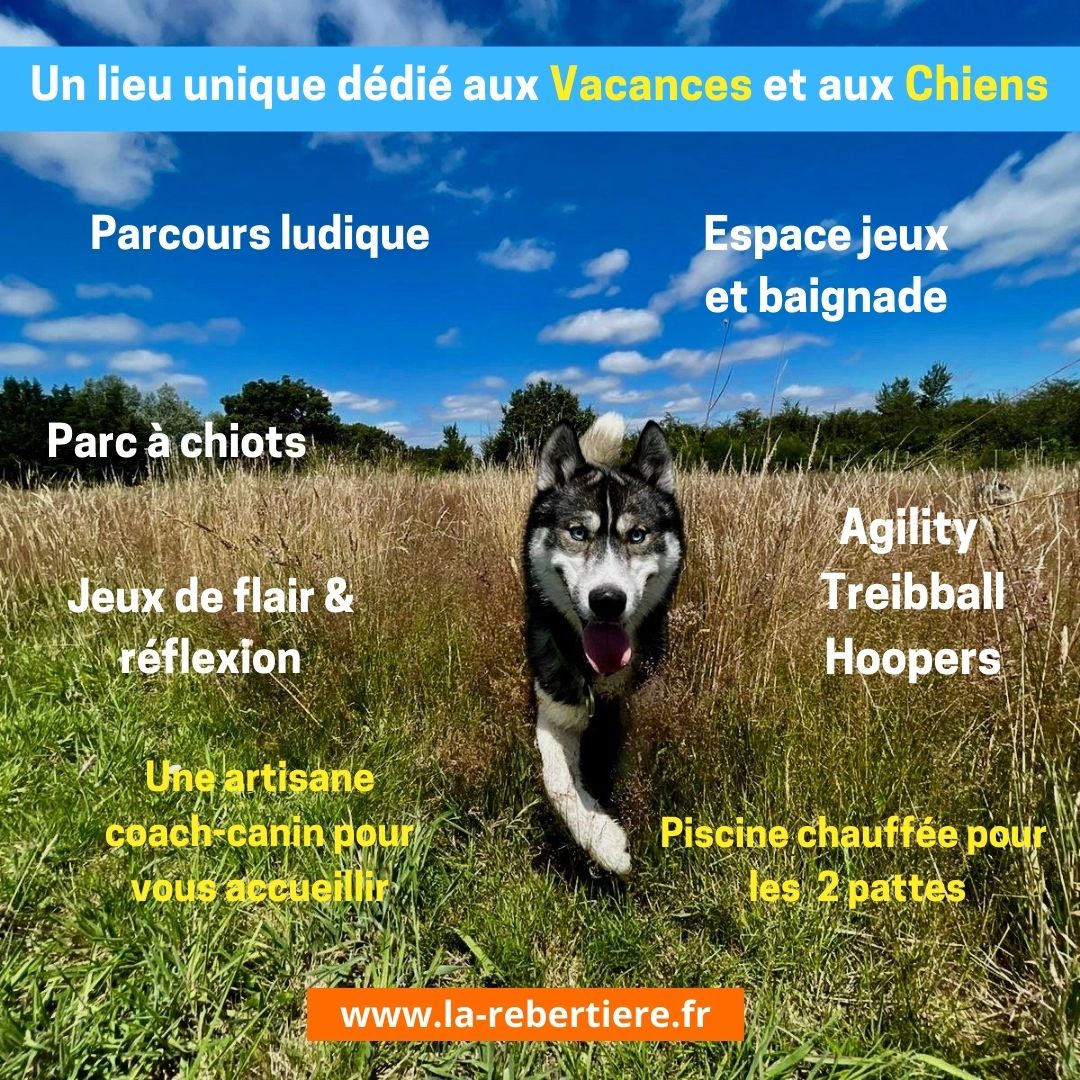 Gîte BoGuss du Parc Canin de la Rebertière, Queaux - photo 7