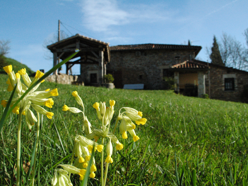 La Petite Grange, Nontron - photo 5