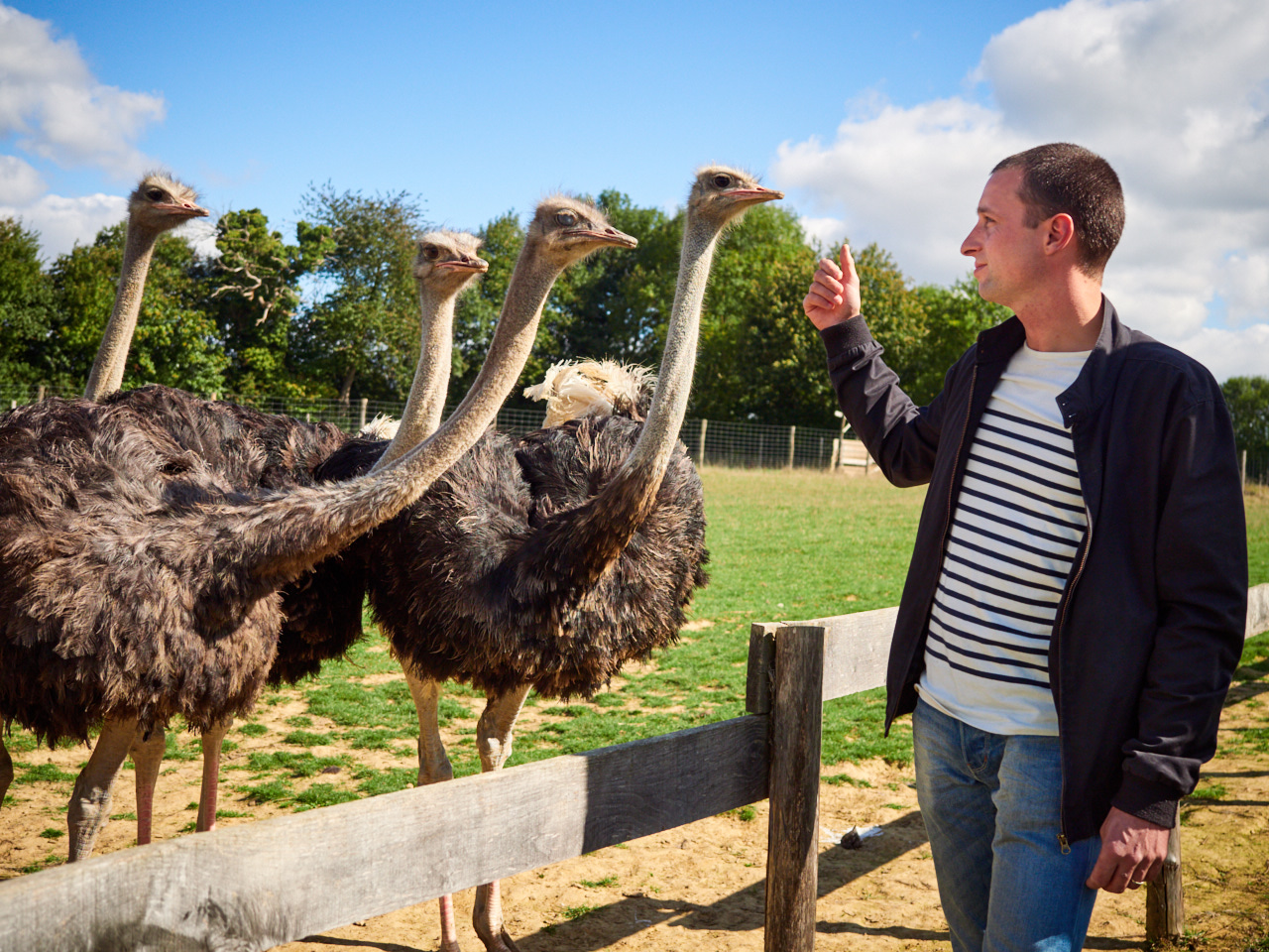 Sèvre Autruche, Courlay - photo 3