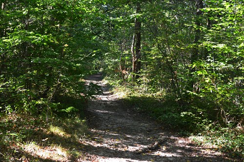 Lévignac, une grande randonnée en Guyenne, Lévignac-de-Guyenne - photo 6
