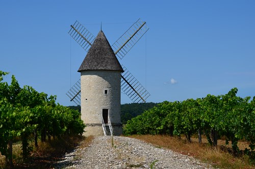 Le Moulin de Marquet, dans les vignes de Villeneuve-de-Duras, Villeneuve-de-Duras - photo 2