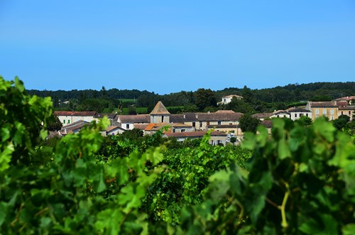 Le Moulin de Marquet, dans les vignes de Villeneuve-de-Duras, Villeneuve-de-Duras - photo 7