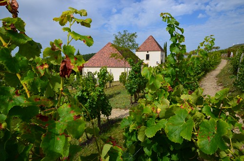 Du lac de l'Escourroux vers les coteaux de vignes, Soumensac - photo 4