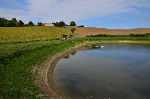 Seyches, un circuit dans les bois des Rivailles, Seyches - photo 3