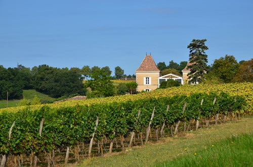 Seyches, un circuit dans les bois des Rivailles, Seyches - photo 9