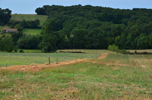 Seyches, un circuit dans les bois des Rivailles, Seyches - photo 8