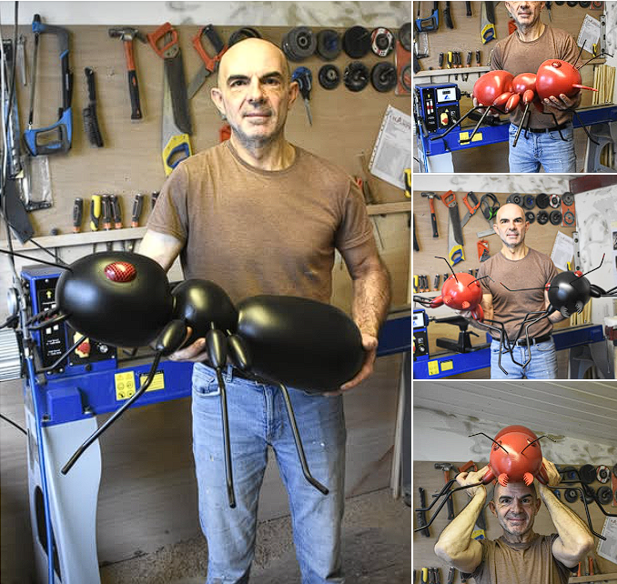 L'univers du champignon