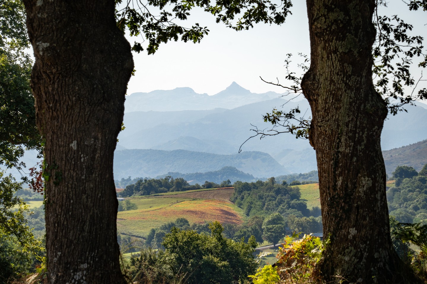 3 - San Antoni Ttipia VTT, Ordiarp