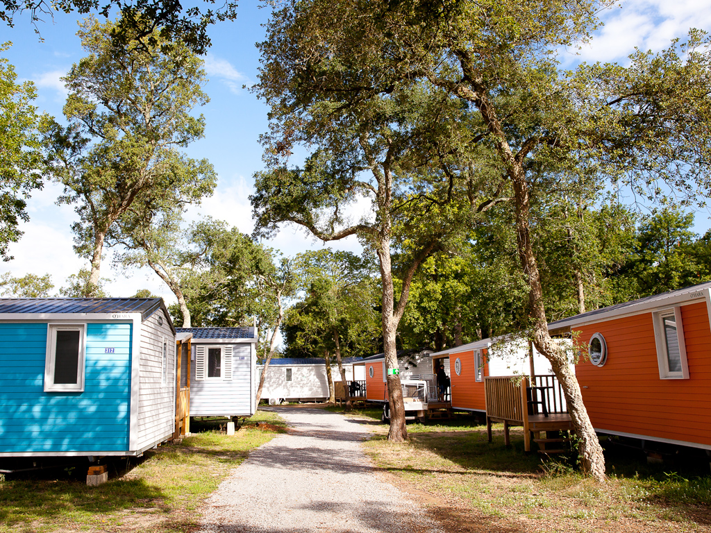 Camping Le Boudigau Vagues océanes - photo 2