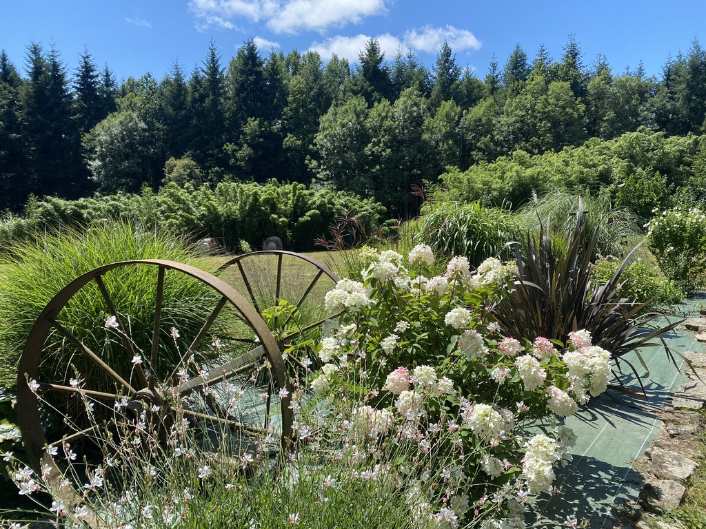 Domaine des Capucins - photo 4