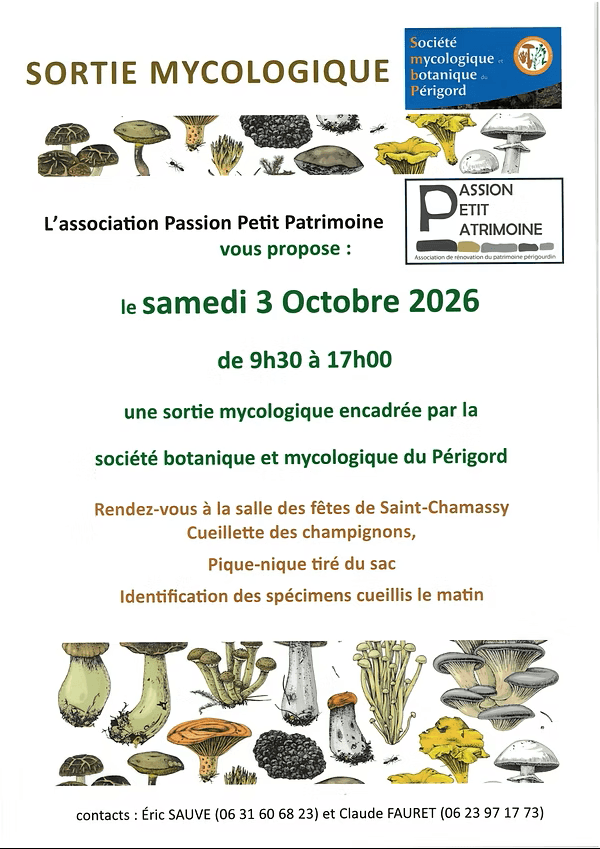 Sortie mycologique