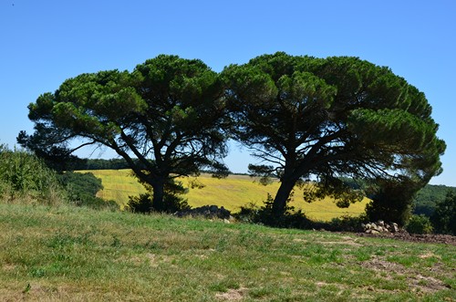 Astaffort, porte de Gascogne, Astaffort - photo 9