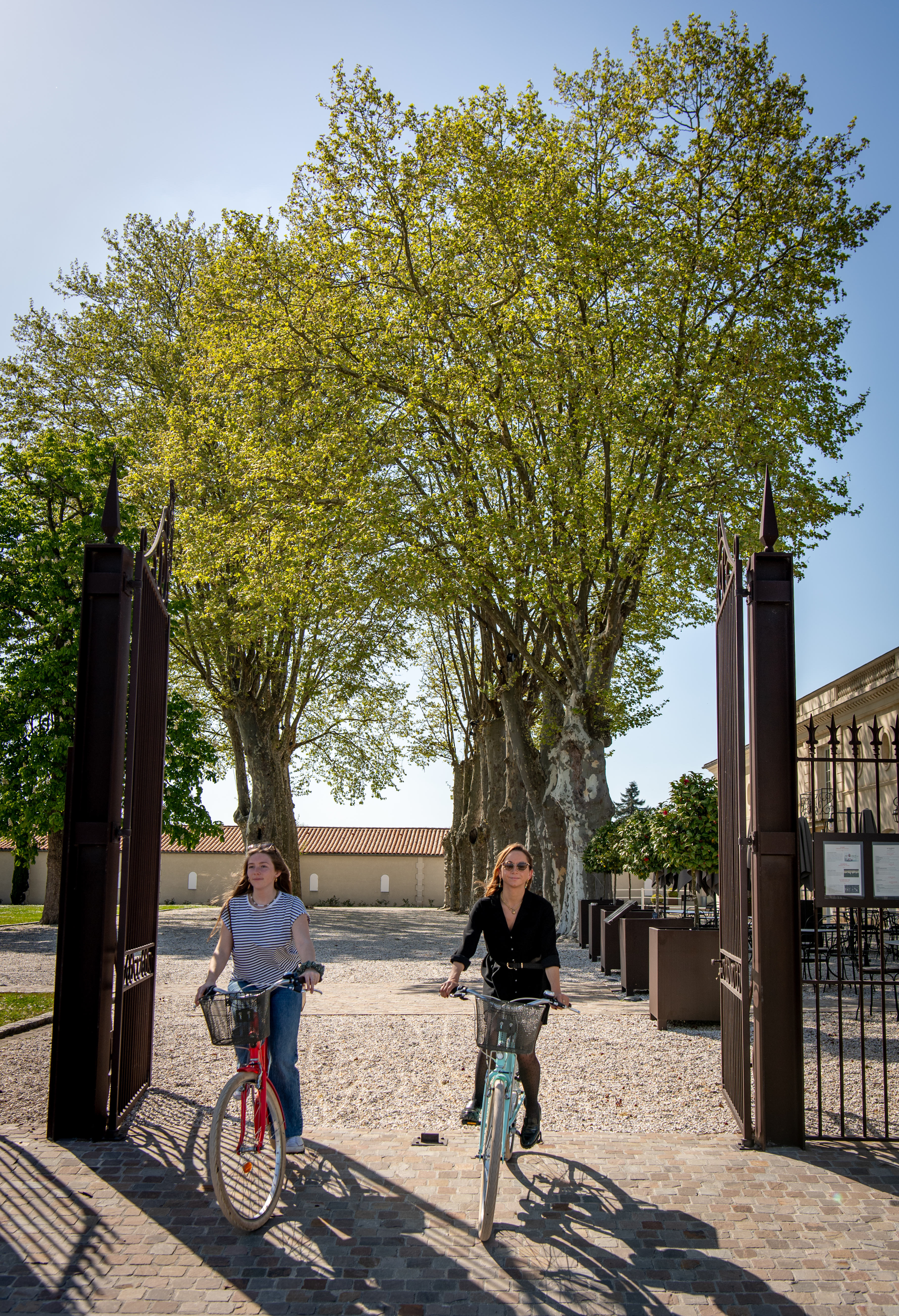 Location de vélos au Château Marquis de Terme — photo 2