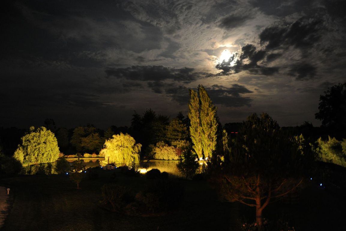 Domaine de la Meniguère, Saint-Gein - photo 6