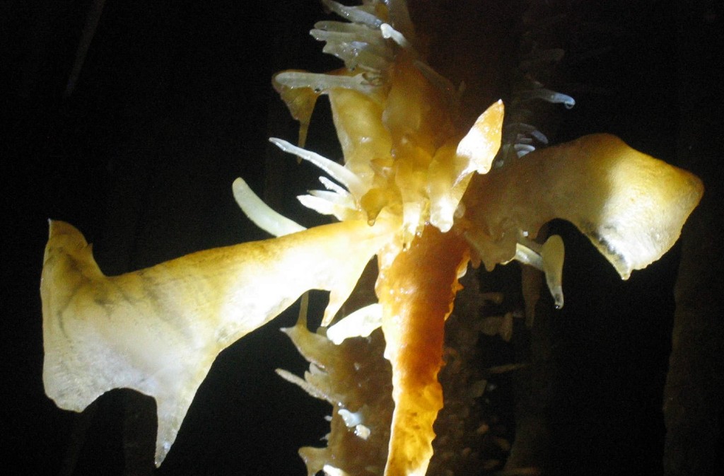 Grotte de Maxange - photo 3