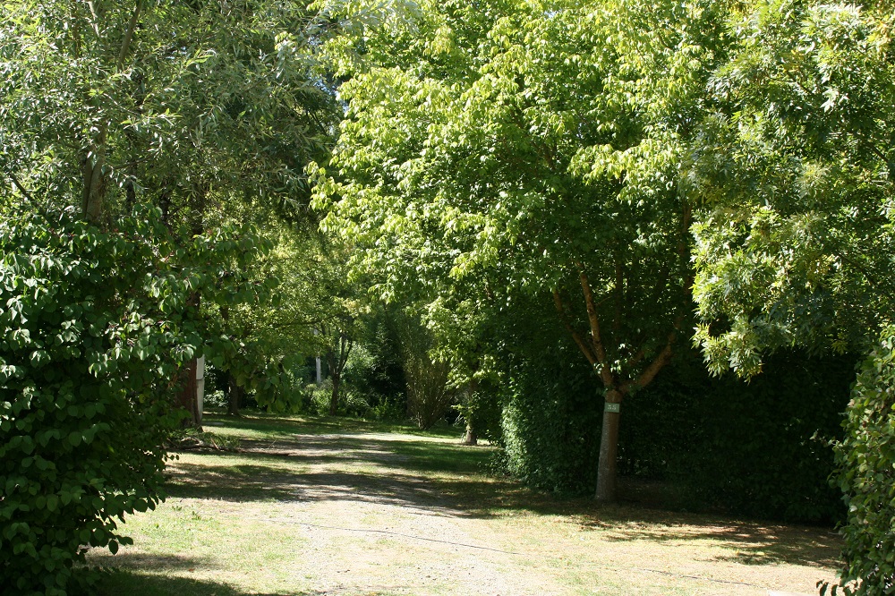 Camping de La Taillée - photo 5