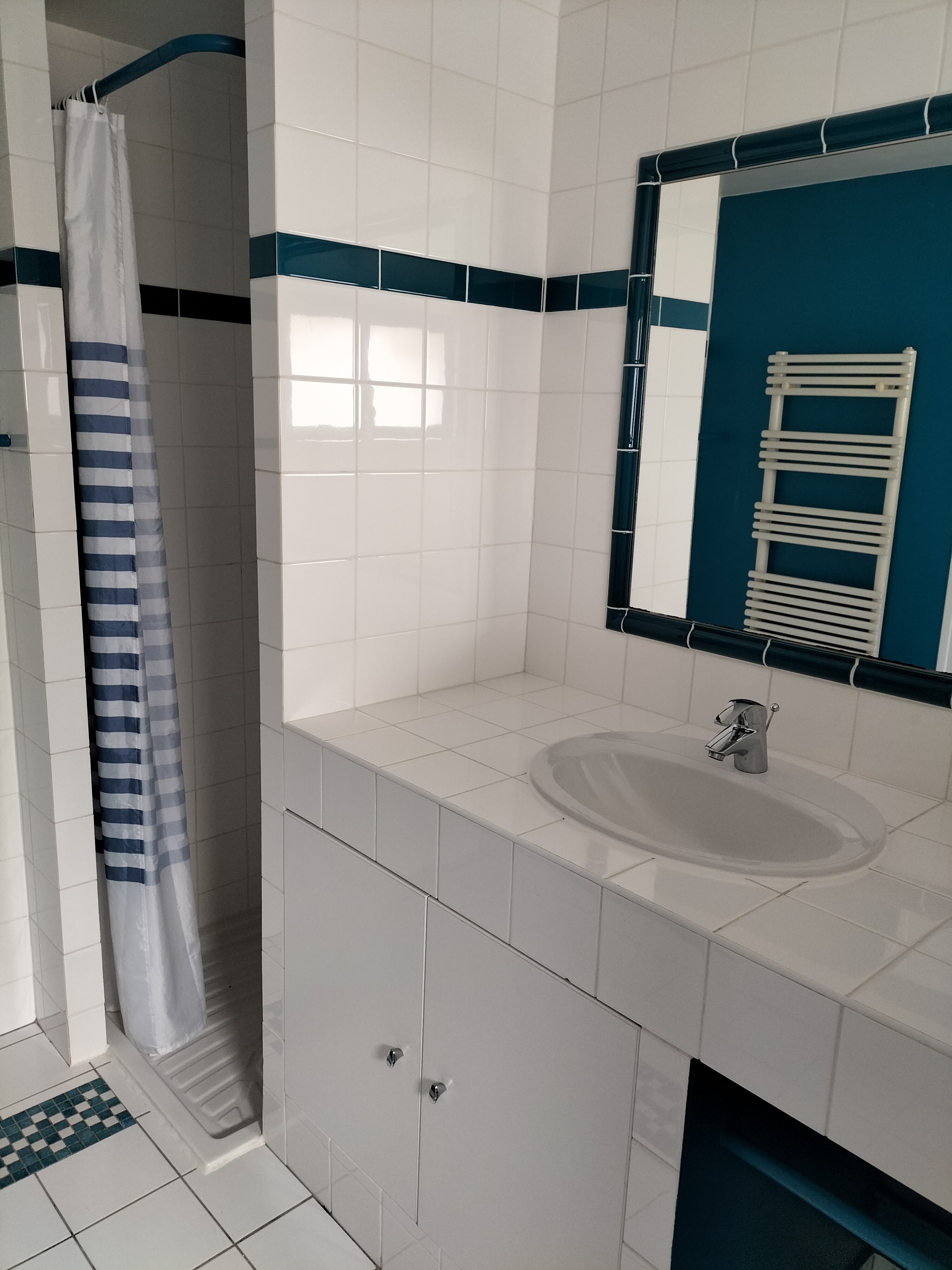 Domaine de Bellevue - La Vigneronne, Pouançay - photo 4