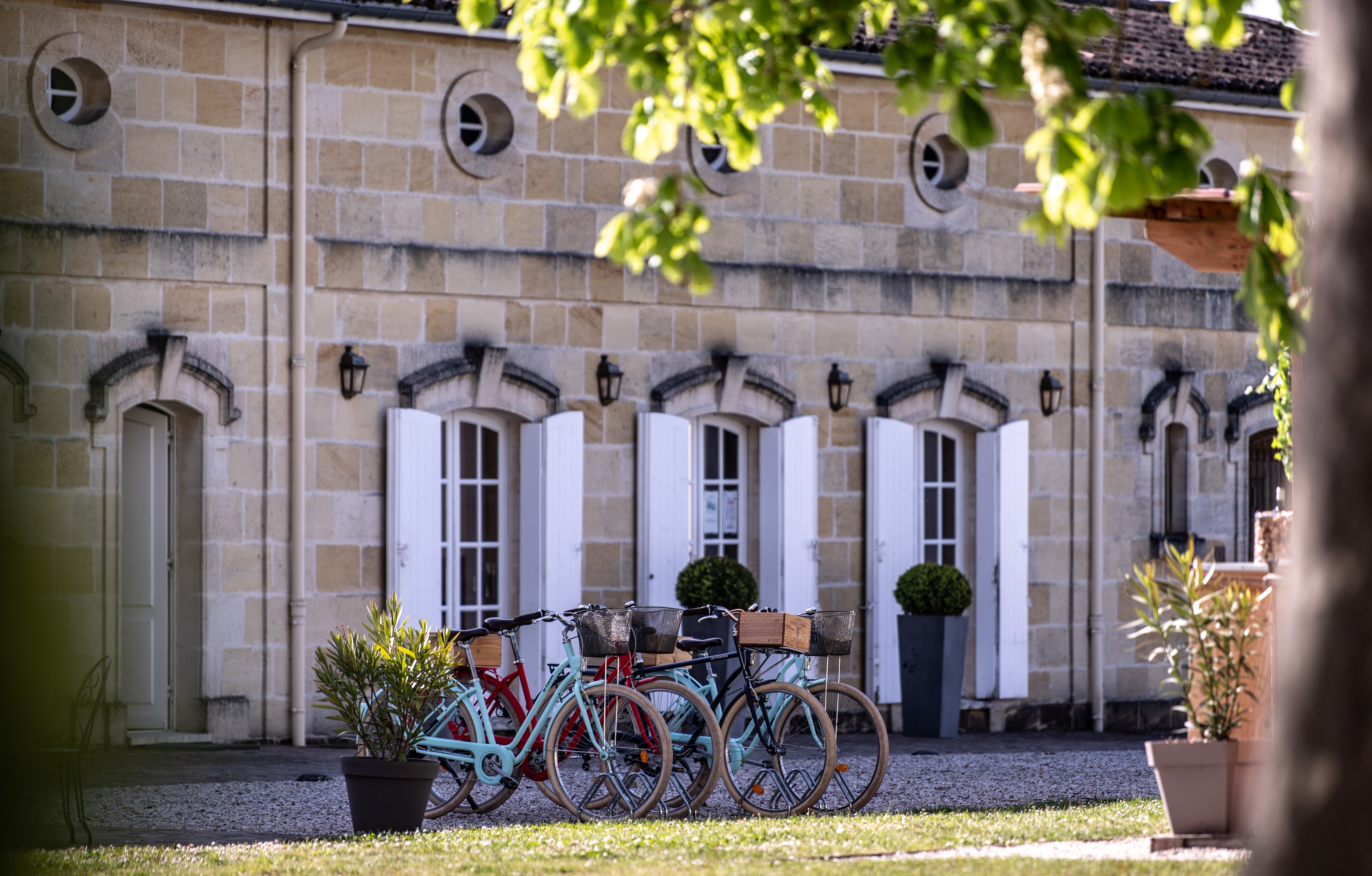 Location de vélos au Château Marquis de Terme — photo 3