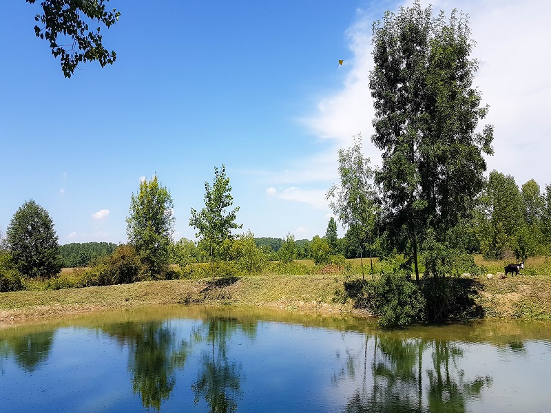 Gîte à l'Orée des Bois du Domaine de la Vallade - photo 5