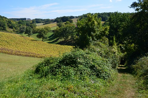 Puymirol, première bastide de l'Agenais, Puymirol - photo 8