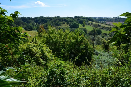 Puymirol, première bastide de l'Agenais, Puymirol - photo 14