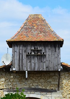Miramont-de-Guyenne vers Roumagne et Saint-Pardoux-Issac, Miramont-de-Guyenne - photo 6