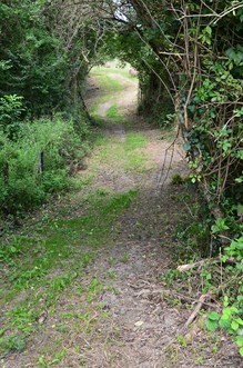 Miramont-de-Guyenne vers Roumagne et Saint-Pardoux-Issac, Miramont-de-Guyenne - photo 5
