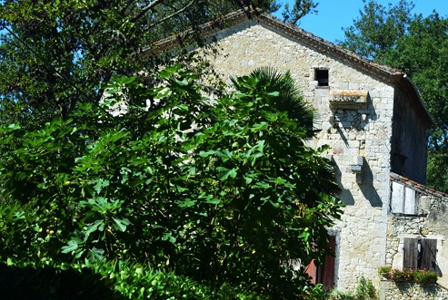 Cuq / Fals, un circuit de randonnée en Gascogne, Cuq