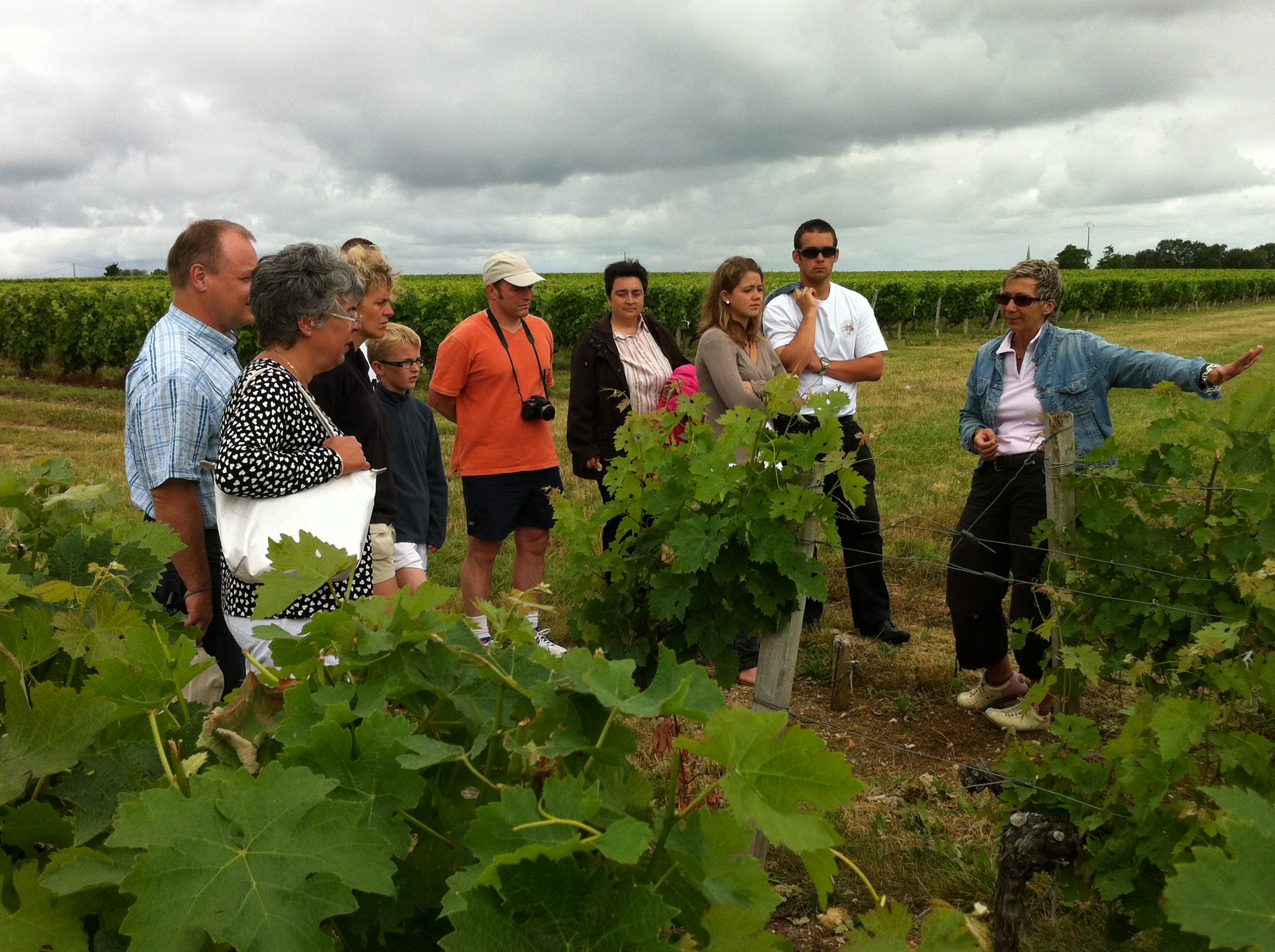 Château Tour Castillon