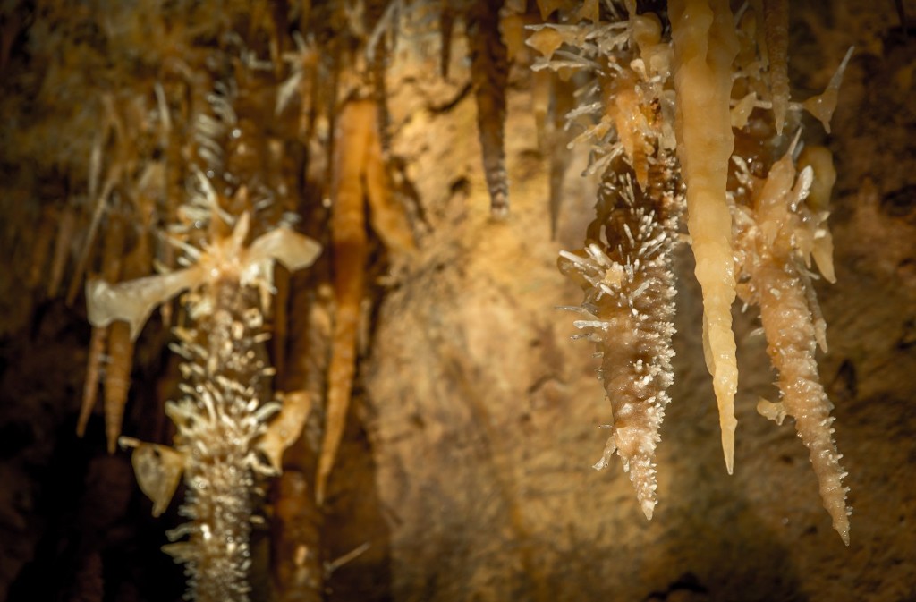 Grotte de Maxange, Le Buisson-de-Cadouin - photo 13