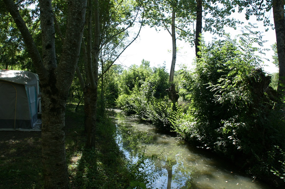 Camping de La Taillée - photo 2