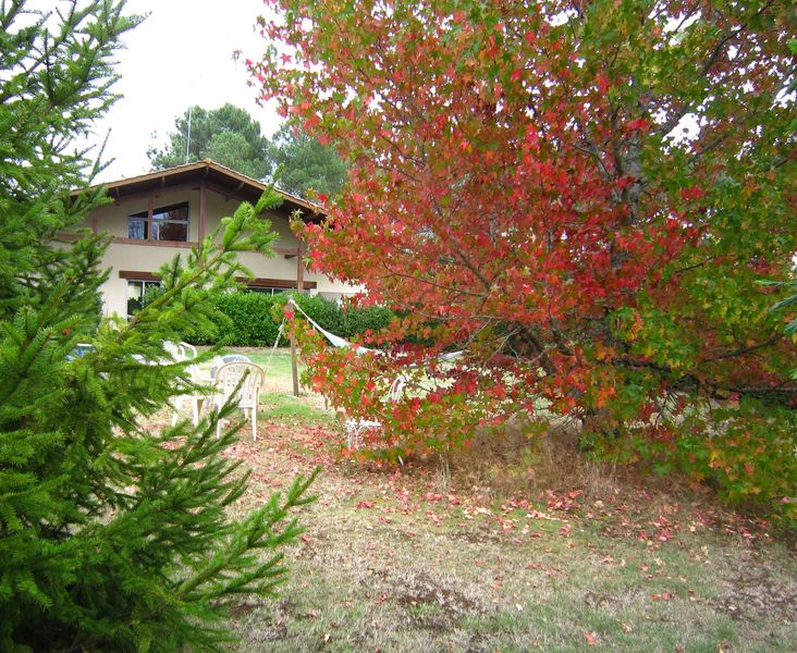 Monsieur et Madame Any et Jean-Louis MARINI, Mios - photo 8