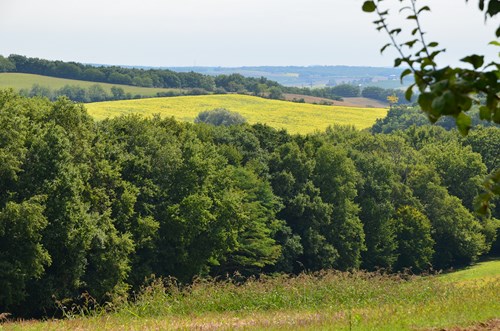 Birac-sur-Trec, des coteaux à la plaine de Garonne, Birac-sur-Trec