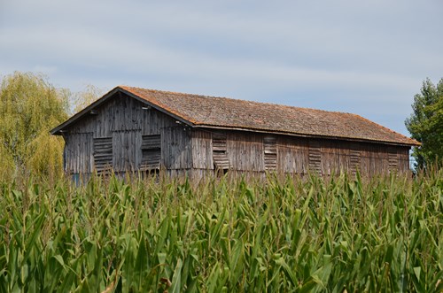 Birac-sur-Trec, des coteaux à la plaine de Garonne, Birac-sur-Trec - photo 8