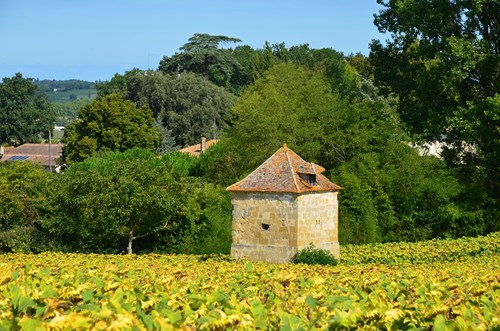 Birac-sur-Trec, des coteaux à la plaine de Garonne, Birac-sur-Trec - photo 4