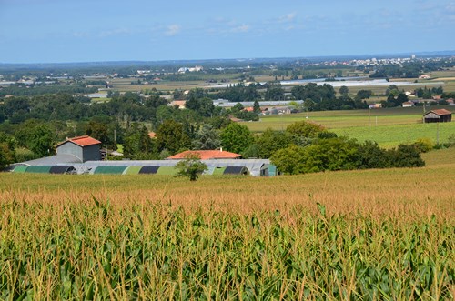 Birac-sur-Trec, des coteaux à la plaine de Garonne, Birac-sur-Trec - photo 14