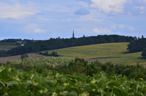 Mauvezin, entre Gupie et Caubon, Mauvezin-sur-Gupie - photo 4
