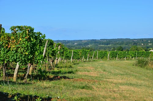 Saint-Sernin-de-Duras, la balade de Castelgaillard, Saint-Sernin