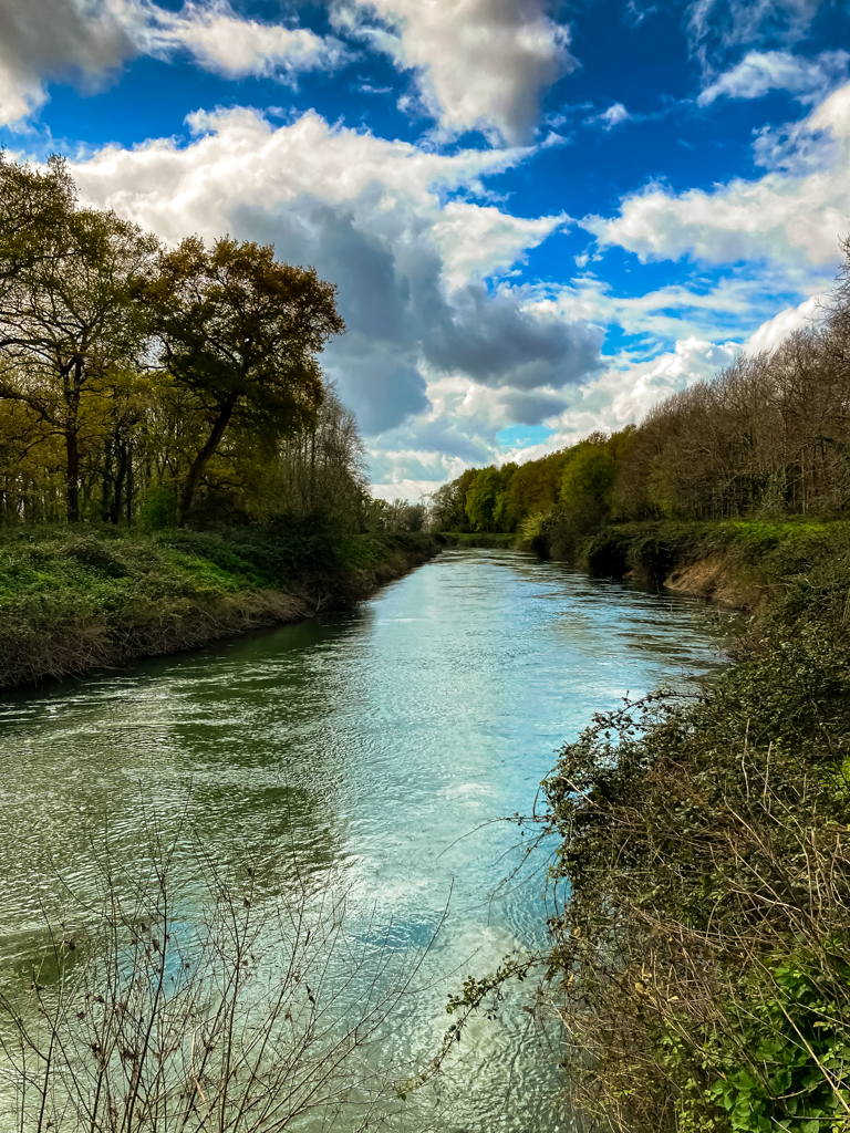 Les barthes de l'Adour