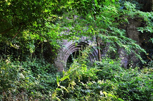 Foulayronnes / Monbran, le GR 652, Chemin de Saint-Jacques, Foulayronnes - photo 9