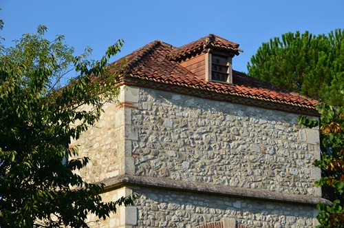 Foulayronnes / Monbran, le GR 652, Chemin de Saint-Jacques, Foulayronnes - photo 6