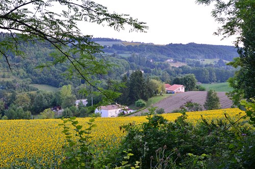 Foulayronnes / Monbran, le GR 652, Chemin de Saint-Jacques, Foulayronnes - photo 7