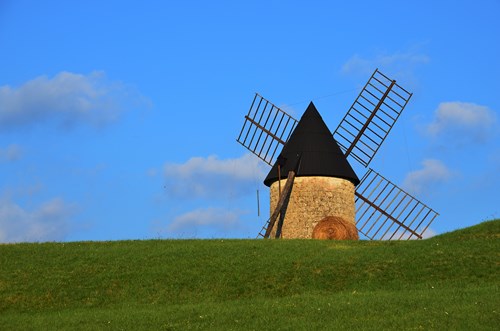 Foulayronnes / Monbran, le GR 652, Chemin de Saint-Jacques, Foulayronnes - photo 5