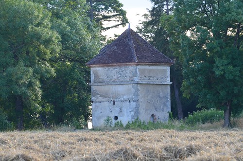 Foulayronnes / Monbran, le GR 652, Chemin de Saint-Jacques, Foulayronnes - photo 3