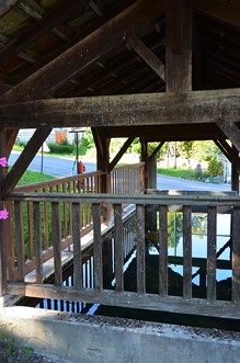 Saint-Maurin / Ferrussac, randonnée dans les vergers, Saint-Maurin - photo 3