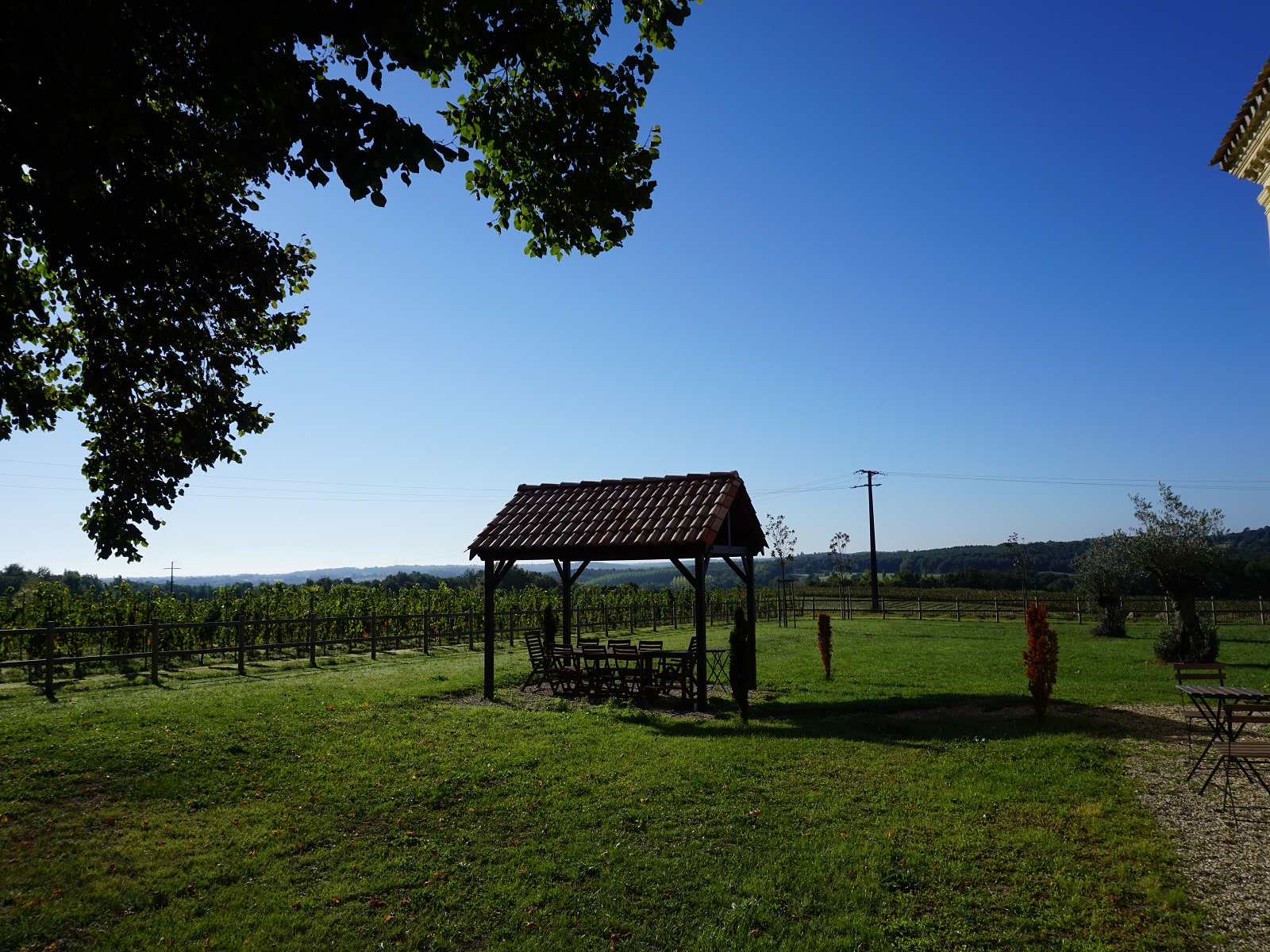 Balade équestre et dégustation au Château Lafite Monteil — photo 3