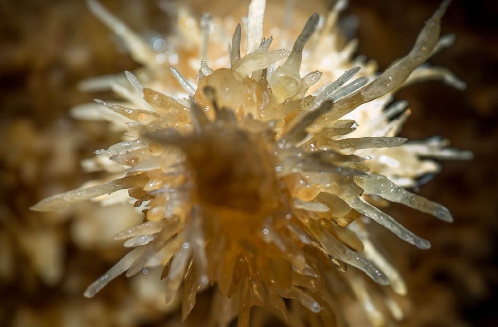 Grotte de Maxange - photo 2